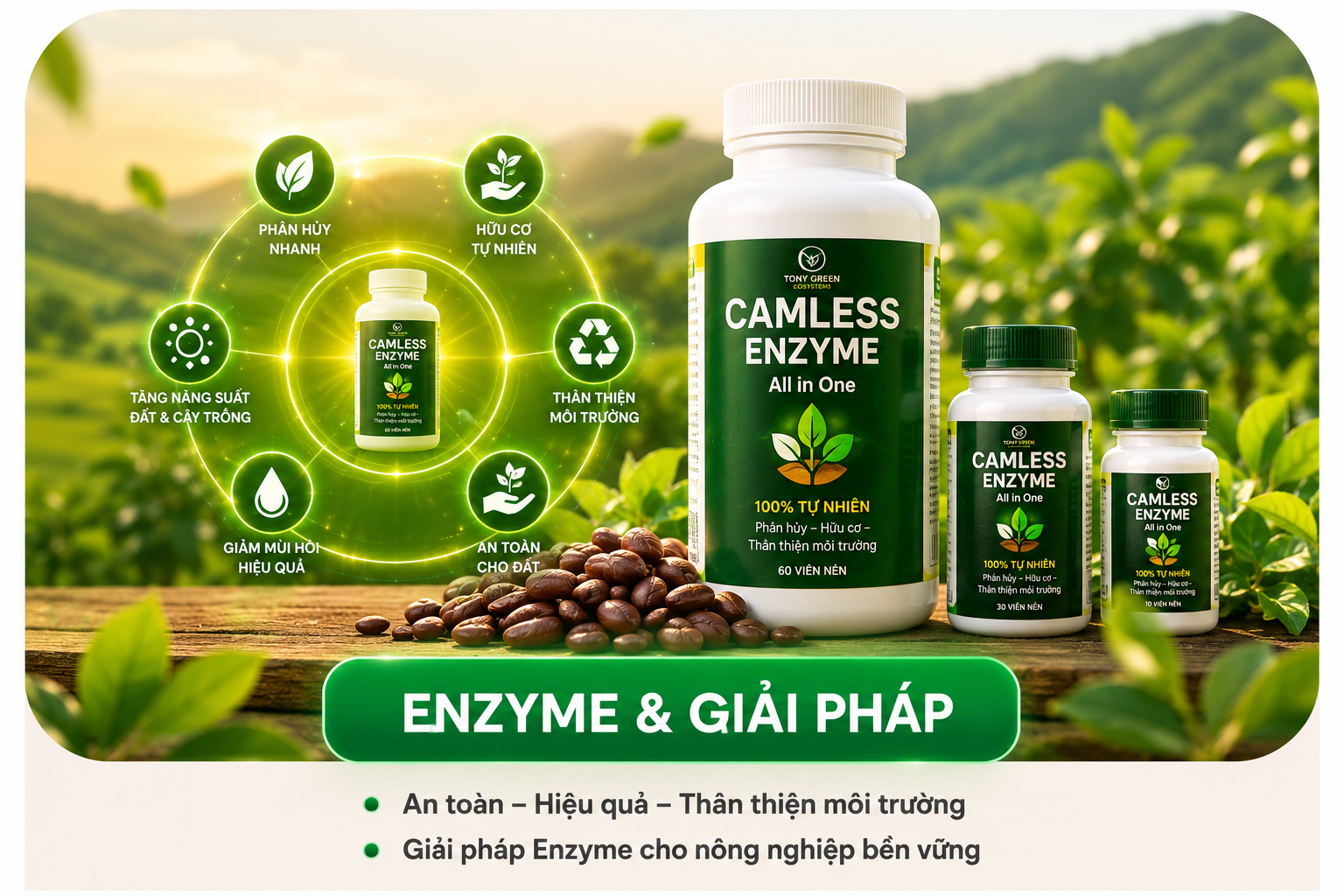 Enzyme & Giải pháp