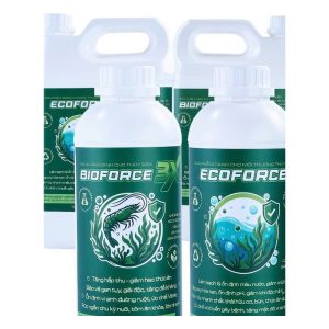 Bioforce & Ecoforce – Chế phẩm sinh học cho tôm